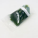 IP329 ADA Tissue Culture - Echinodorus opacus 'saona carlos' type A  (Pouch)