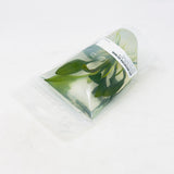 IP330 ADA Tissue Culture - Echinodorus opacus 'Iguazu 2009' type B  (Pouch)
