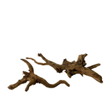 Ancient horn driftwood (Free shipping)