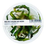 IC353 ADA Tissue Culture  - Cryptocoryne spiralis 'Nari'
