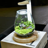 DOOA "SHIZUKU" Workshop 2026 at AQUASHELLA (Chicago)