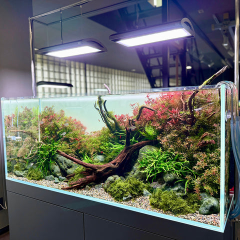Ada Solar ADA Solar RGB II LED lighting system (180W) – Aqua Forest Aquarium
