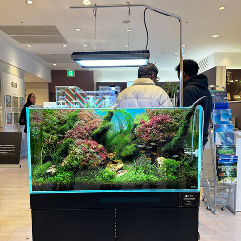 Ada Solar ADA Solar RGB II LED lighting system (180W) – Aqua Forest Aquarium
