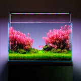 Twinstar LED Light S-LINE V with LightControl Pro - Adjustable legs