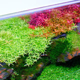 Twinstar LED Light S-LINE V with LightControl Pro - Adjustable legs