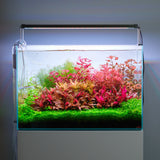 Twinstar LED Light S-LINE V with LightControl Pro - Adjustable legs