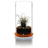 DOOA CELL (glass pot)