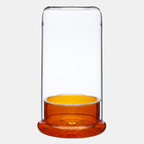 DOOA CELL (glass pot)