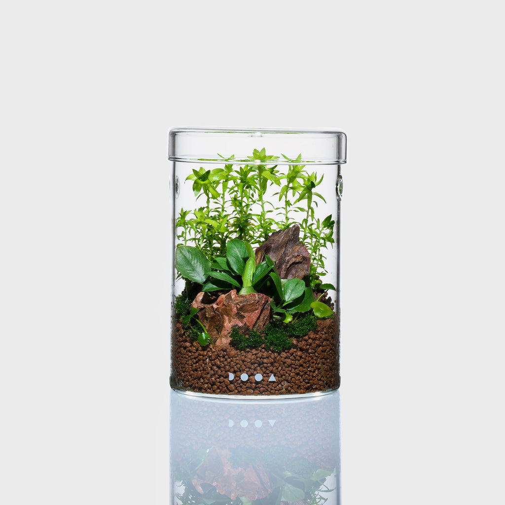 DOOA Glass Pot MARU 130 – Aqua Forest Aquarium