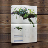 ADA Nature Aquarium Calendar 2026