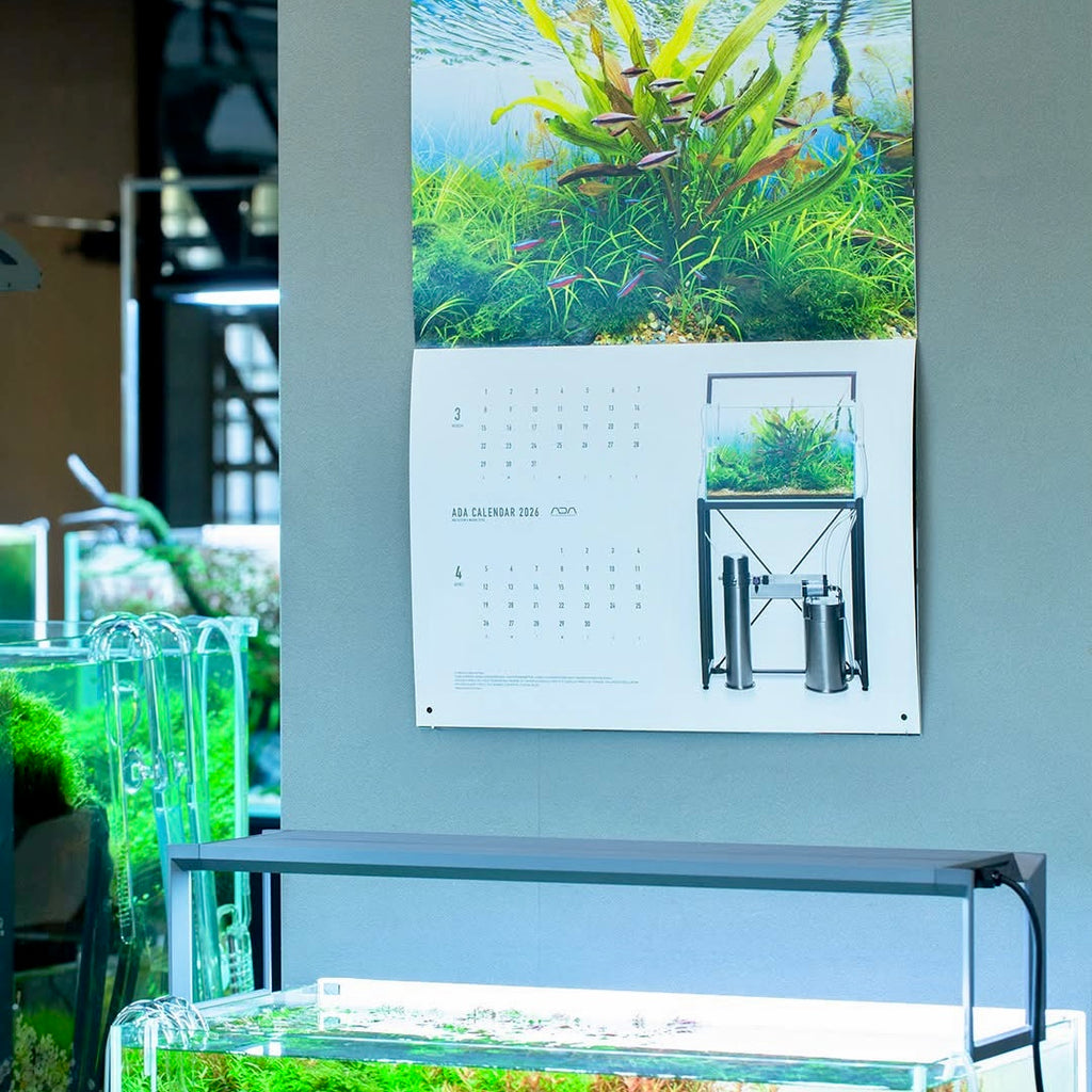 M*o様 ADAカレンダー ADA Nature Aquarium Calendar 2026 – Aqua Forest Aquarium