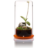 DOOA CELL (glass pot)