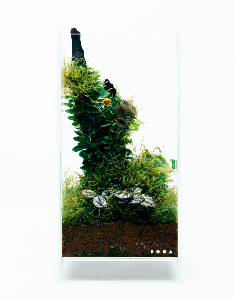 DOOA JUNGLE SOIL – Aqua Forest Aquarium