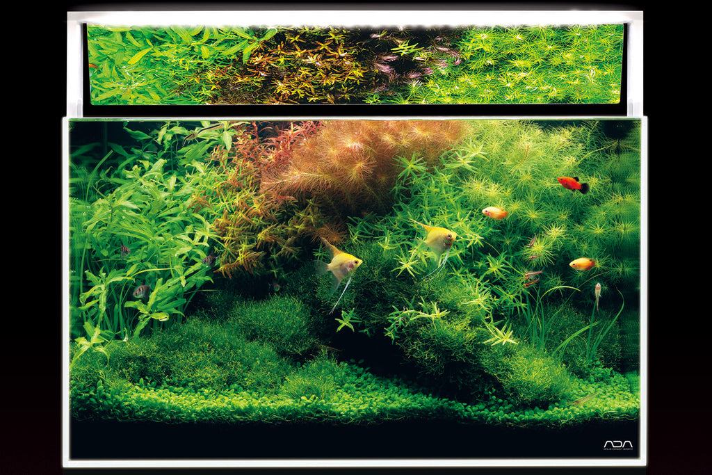 ADA_Aquasky_Mirrior_unit_examp