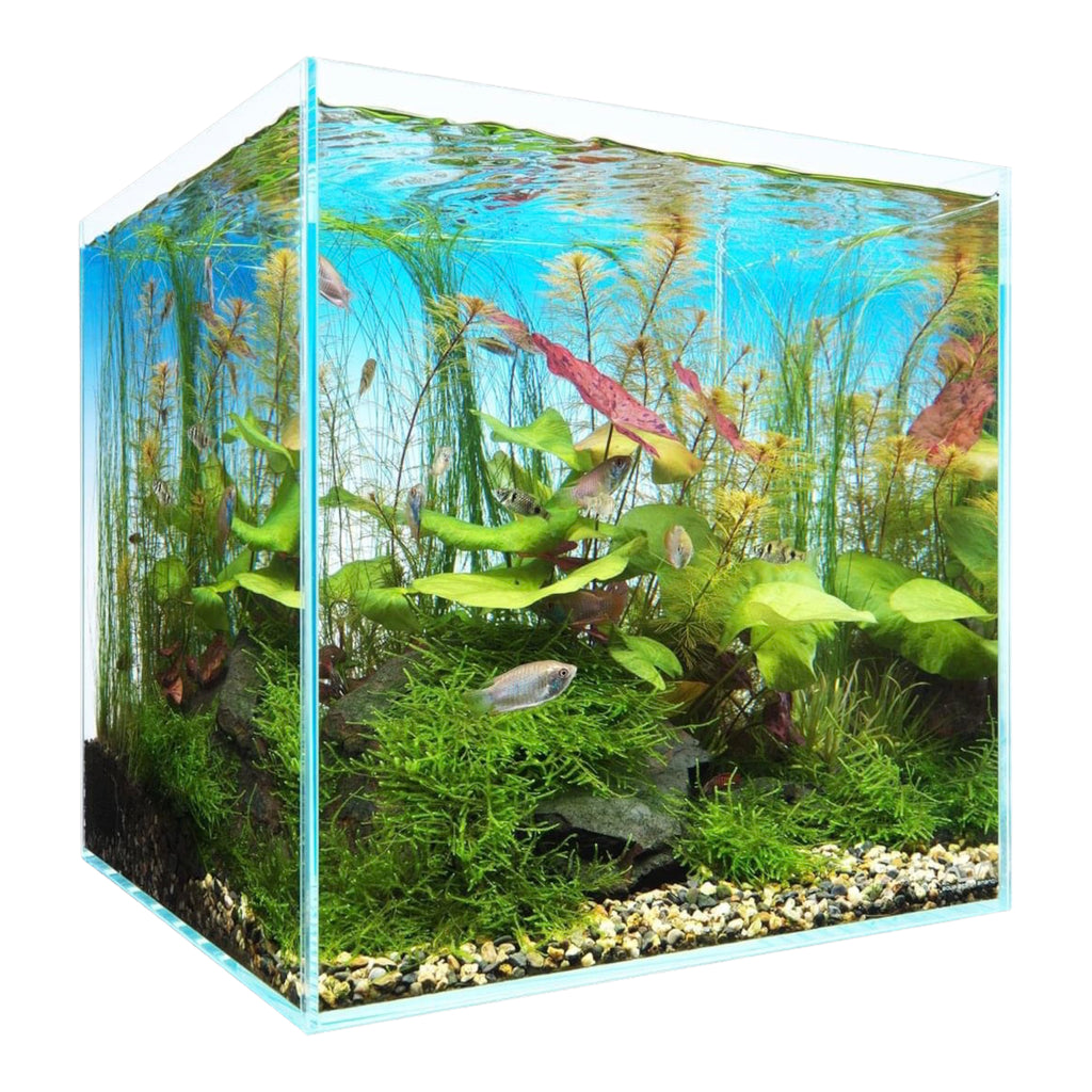 ADA Cube Garden 30C Rimless Aquarium (Ultra High Clarity Low Iron ADA Cube Garden 30C Rimless Aquarium (Ultra High Clarity Low Iron