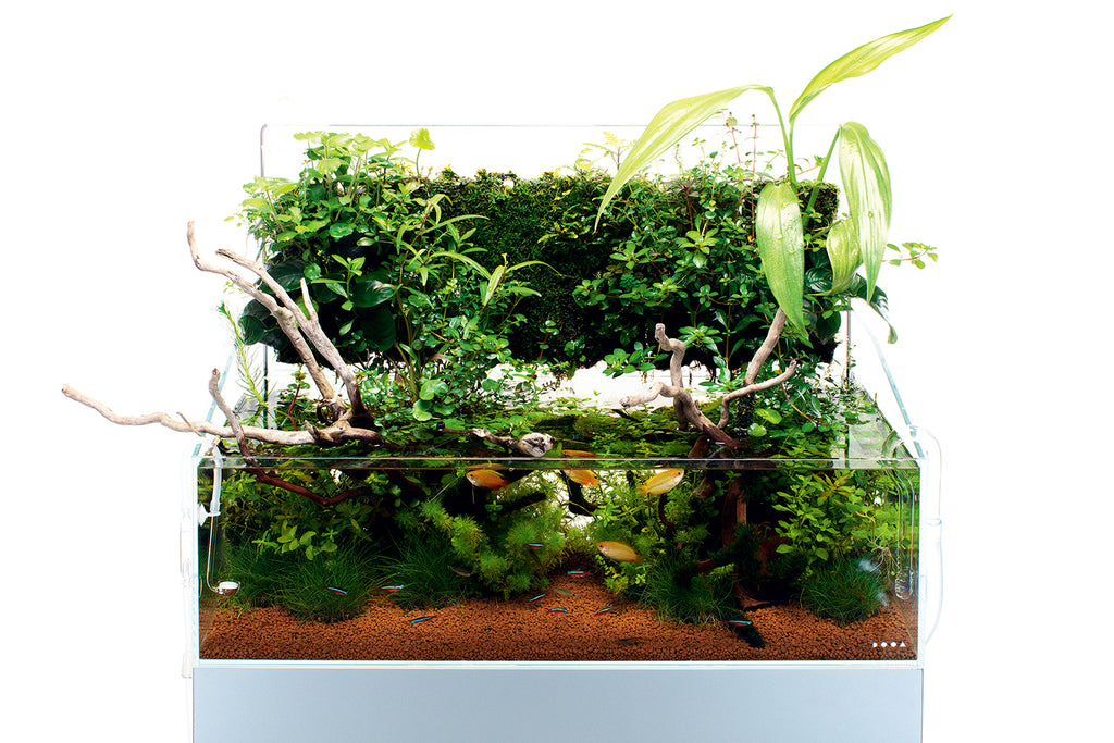 DOOA TROPICAL RIVER SOIL (2L) – Aqua Forest Aquarium