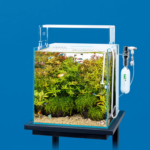 DOOA CO2 SYSTEM KIT (CO2 Cartridge included) – Aqua Forest Aquarium