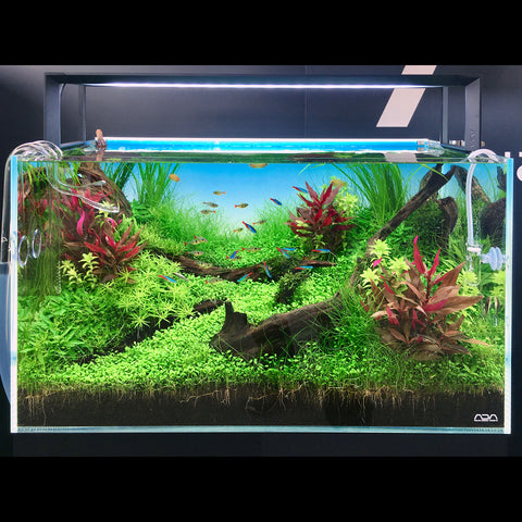 ADA AQUASKY RGB 60 (for W60cm tank with glass thickness of 6mm 