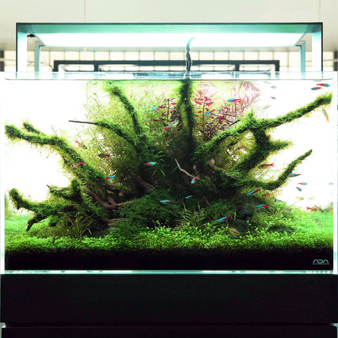 ADA AQUASKY RGB 60 (for W60cm tank with glass thickness of 6mm 