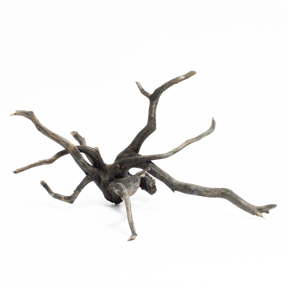 UNS Aquarium Diftwood - Black Forest Spiderwood (Small) (1 Piece)