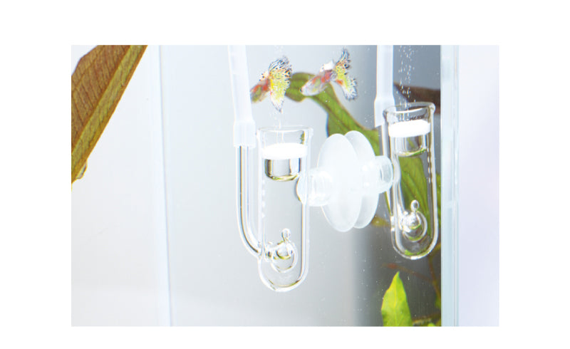 ADA Count diffuser – Aqua Forest Aquarium