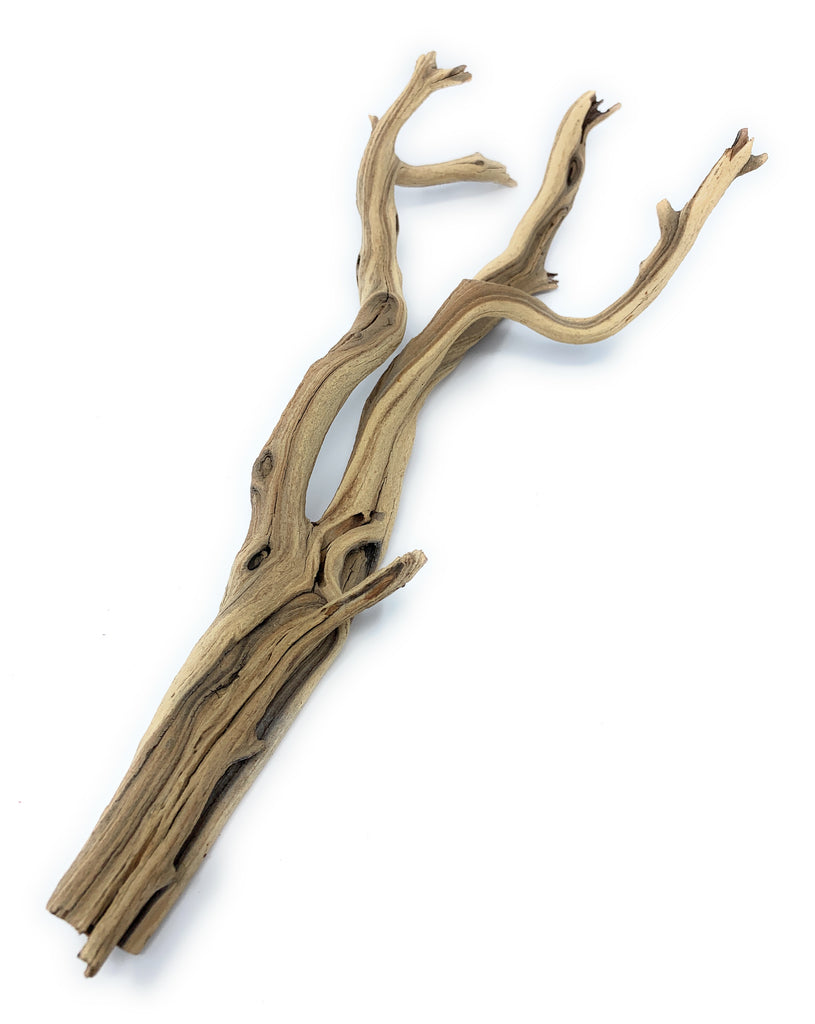 thumbnail image 2 of Pisces Ghostwood Sandblasted Branch - Natural Aquarium & Terrarium Driftwood 2 of 5