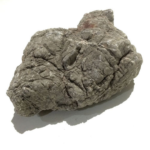 Dragonscale Rocks Dragon Scale Stone – Aqua Forest Aquarium
