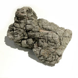 Dragon Scale Stone