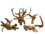 Branchy root wood