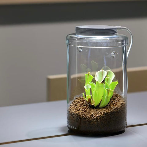 DOOA Glass Pot MARU 130 Magnet Light G Set – Aqua Forest Aquarium