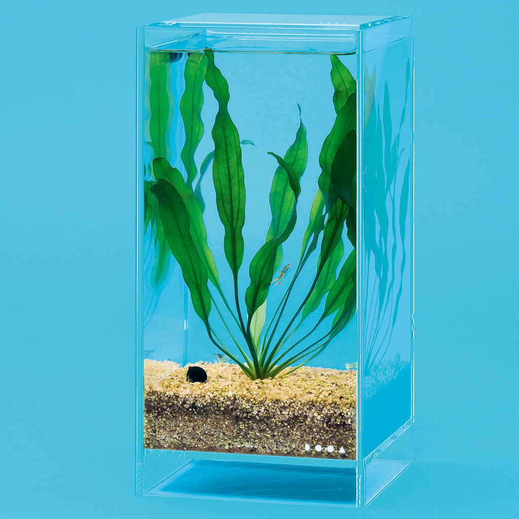 【カカシ】NEO GLASS AIR 15×15×30 【直接引取2点】 DOOA NEO GLASS AIR W15×D15×H30cm – Aqua Forest Aquarium