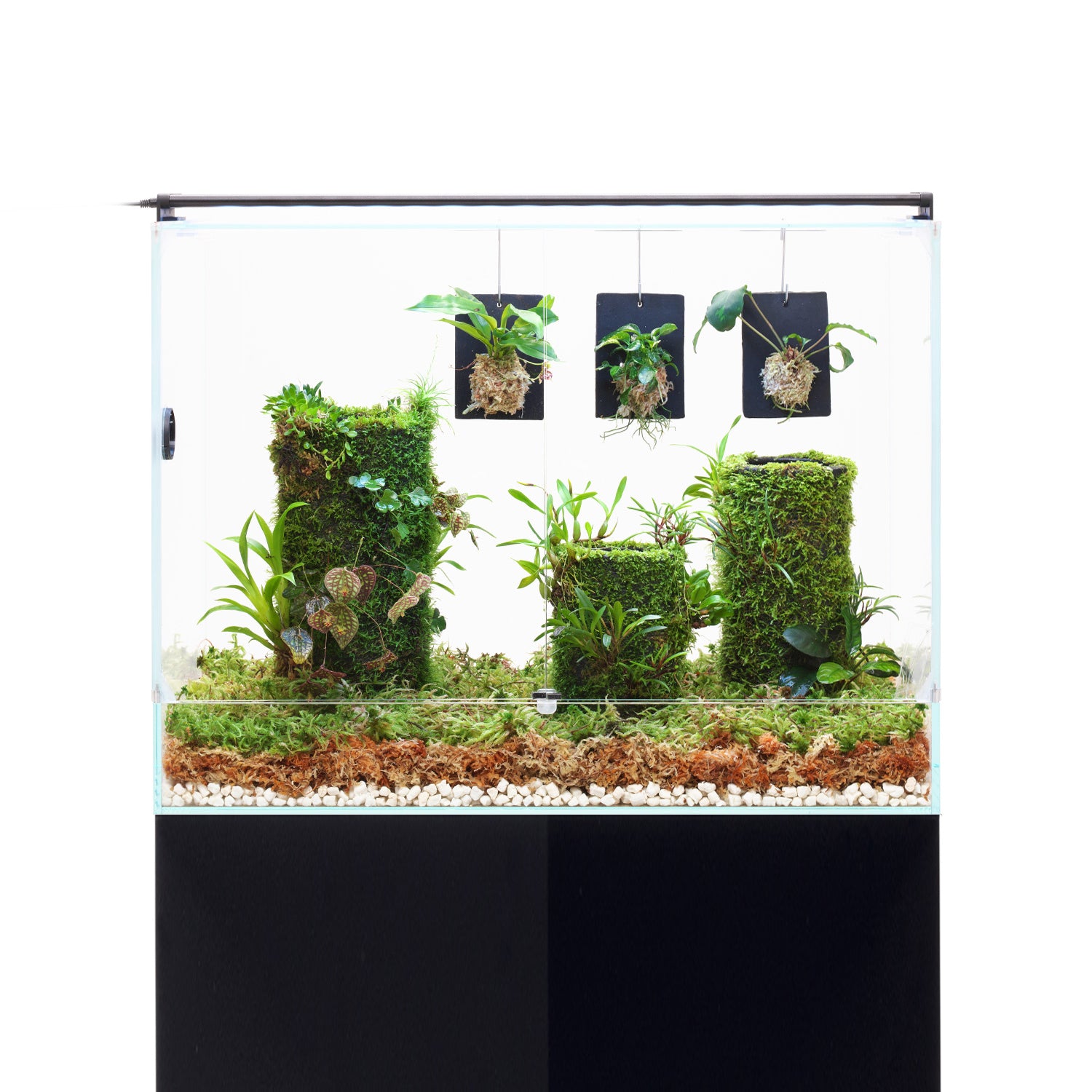 DOOA NEO GLASS PALUDA – Aqua Forest Aquarium