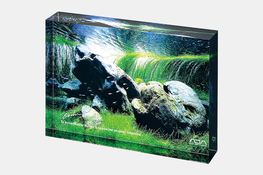 ADA ACRYLIC PHOTO BLOCK – Aqua Forest Aquarium