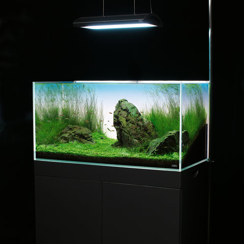 Steinzeit Design, LED Aquarium-Beleuchtung BARRACUDAS-LD4, 4xweiß