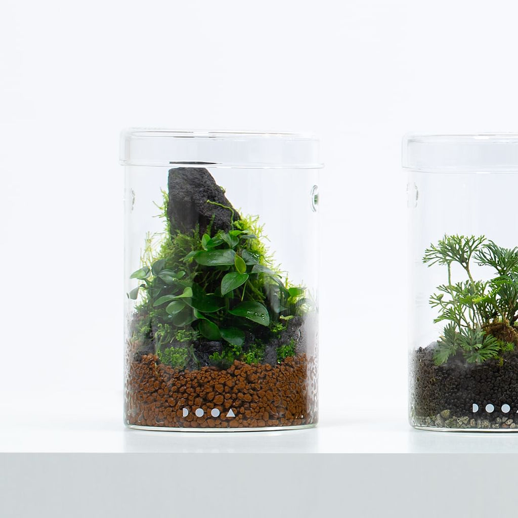 DOOA GLASS POT MARU95 3個セット DOOA GLASS POT MARU95 3個セット DOOA Glass Pot MARU 95 – Aqua