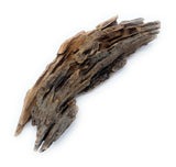 Malaysian driftwood