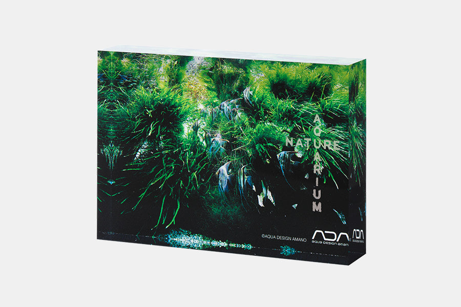 ADA NA ACRYLIC PHOTO BLOCK