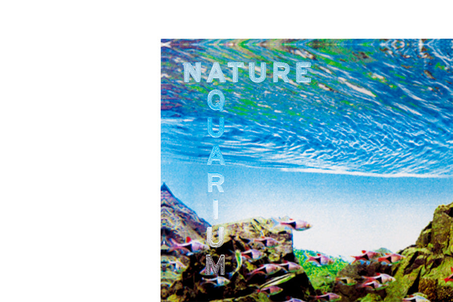 ADA NA ACRYLIC PHOTO BLOCK – Aqua Forest Aquarium
