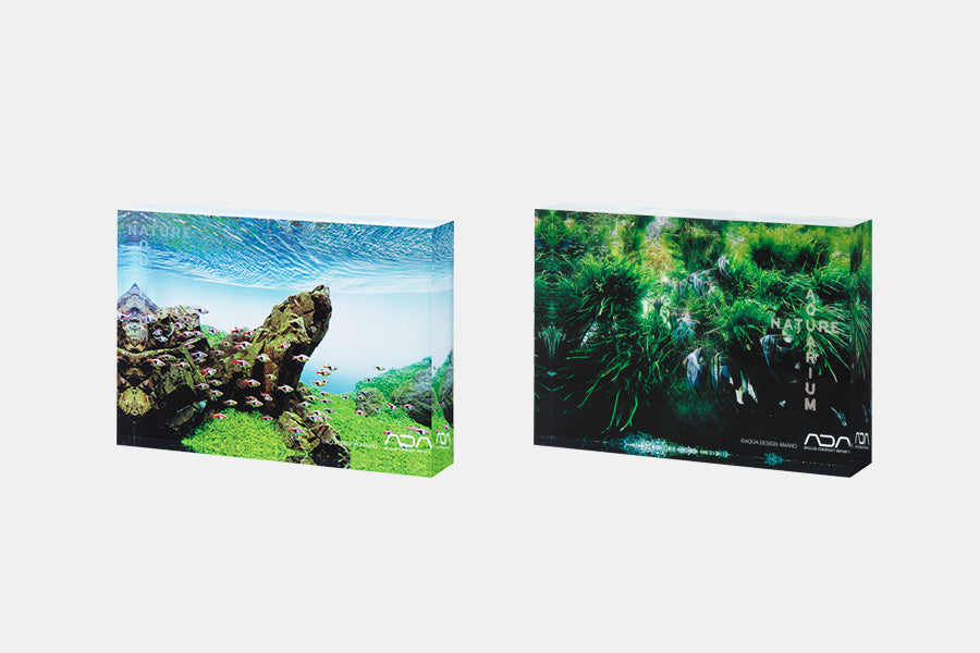 ADA NA ACRYLIC PHOTO BLOCK – Aqua Forest Aquarium