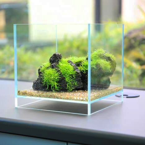 DOOA　ネオグラスエア　20×20×35 NEO_GLASS_AIR_W20x20x20_exampl