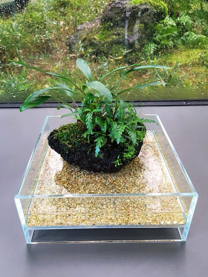 NEO_GLASS_AIR_W30x18x12_exampl