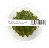 IC407 ADA Tissue Culture - Ludwigia repens 'Super red' (cup size: tall)