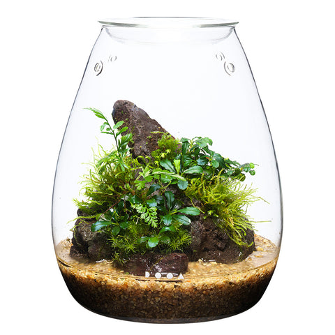 aquarium plants in glass pots DOOA Glass Pot SHIZUKU