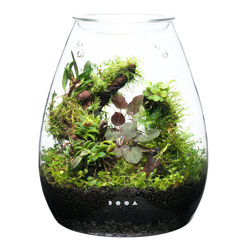 DOOA GLASS POT SHIZUKU – Aqua Forest Aquarium