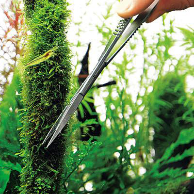 Curved Aquatic Plants Pro Spring Scissors 6.4 long
