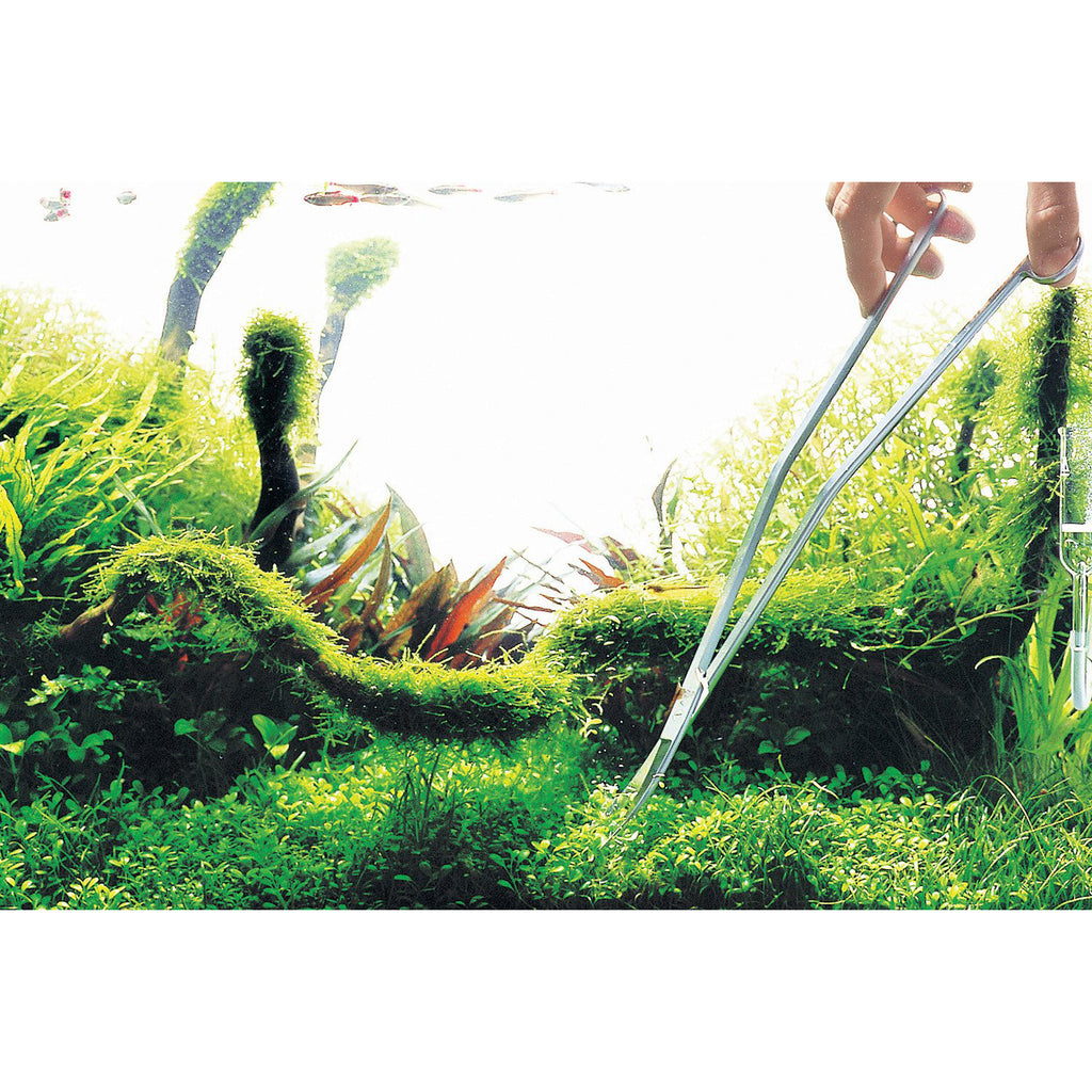 ADA Pro Scissors Nude – Aqua Forest Aquarium