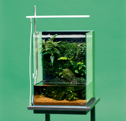 DOOA Mistflow (Mist maker for System Terra 30 & Mizu-kusa DOOA Mistflow (Mist maker for System Terra 30 & Mizu-kusa