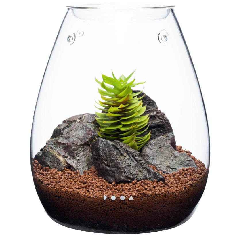 DOOA GLASS POT SHIZUKU – Aqua Forest Aquarium