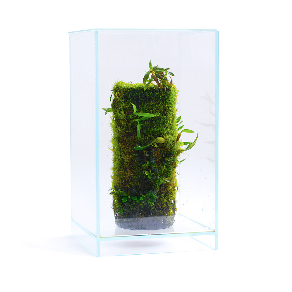 Terra_Base_M_AFA_sml_sharpen_4