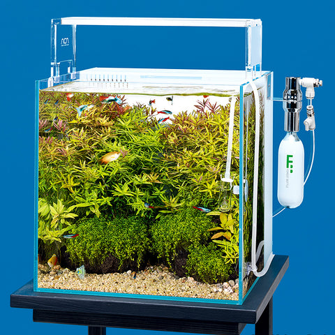 DOOA SYSTEM AQUA 30 – Aqua Forest Aquarium